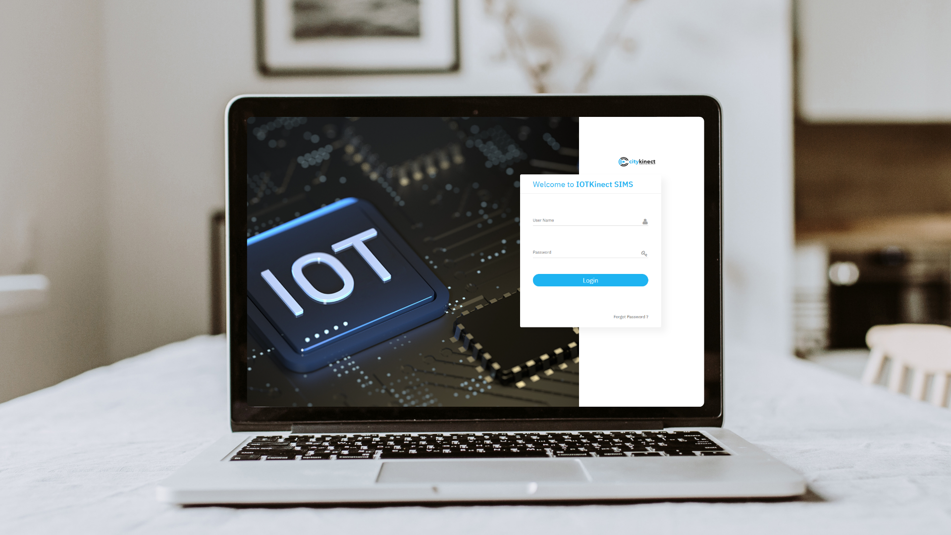 Web App Screenshot